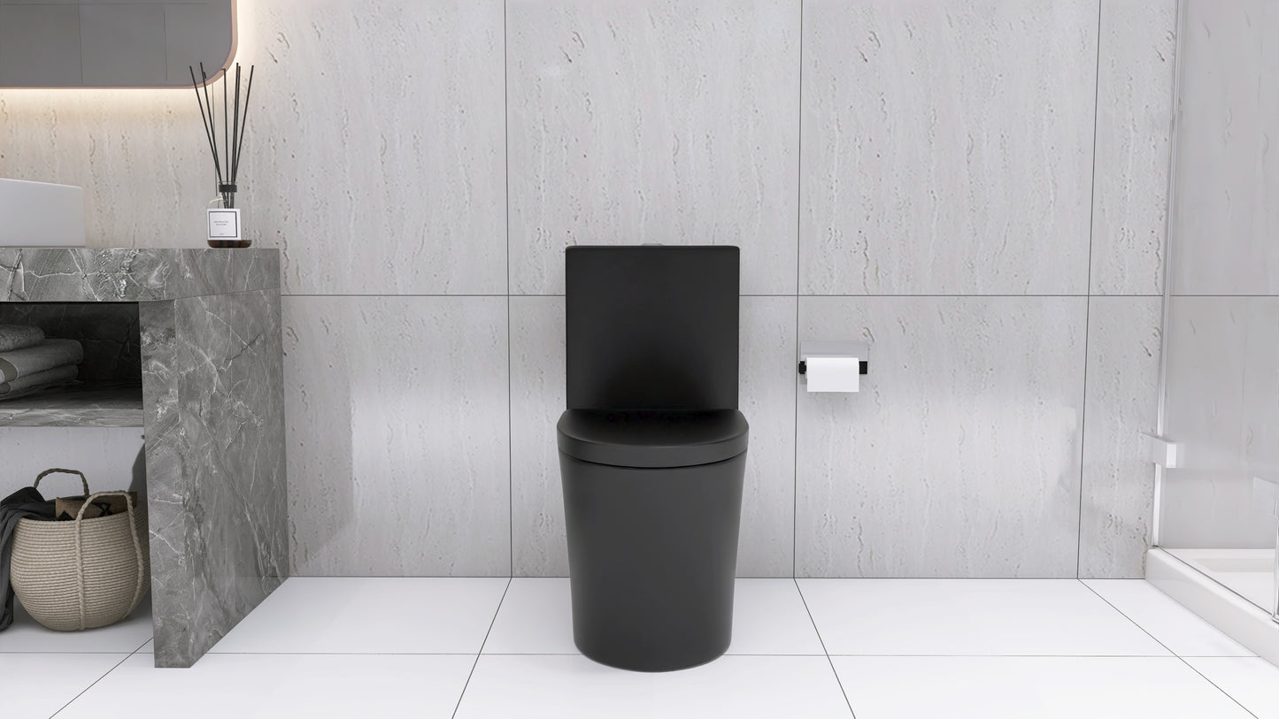 Matte Black Elongated One Piece Toilet Dual Flush 1.1/1.6 GPF Water Saving Map 1000g,Matte Black