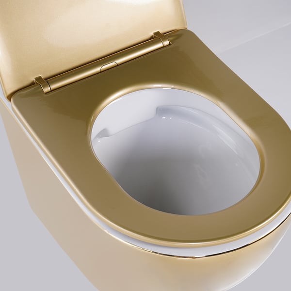 Luxury Round Wall-Mount Toilet Rimless Flushing Ceramic