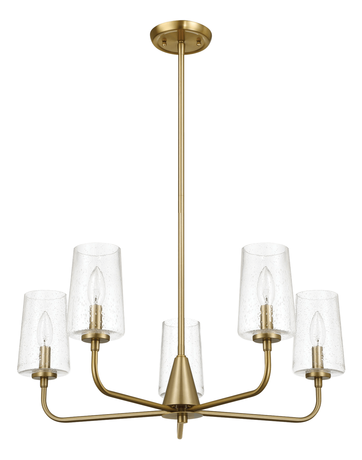 Dazzle Five Lights Chandelier With Clear Seeded Glass -Satin Brass