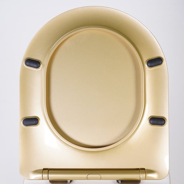 Luxury Round Wall-Mount Toilet Rimless Flushing Ceramic