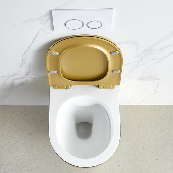 Luxury Round Wall-Mount Toilet Rimless Flushing Ceramic