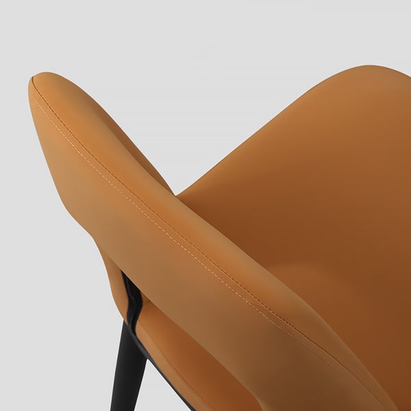 Chaise de salle à manger moderne orange, sans accoudoirs, dossier en boucle, en acier au carbone, noir (Ensemble de 2)