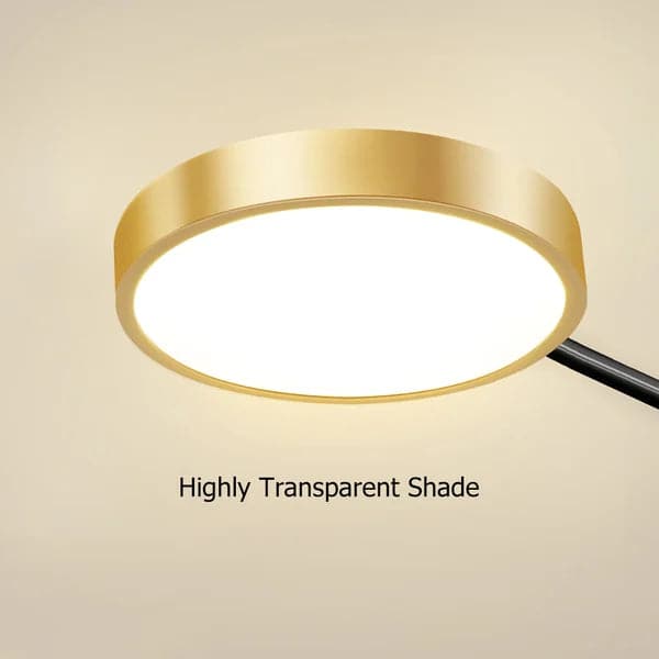 Modern Semi Flush Mount Lighting Gold Ceiling 4 Light Fixture LED Ring