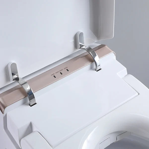 One-Piece Elongated Smart Toilet Floor Mounted Automatic Toilet Self-Clean Rose