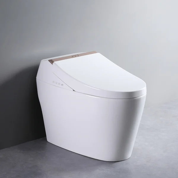 One-Piece Elongated Smart Toilet Floor Mounted Automatic Toilet Self-Clean Rose
