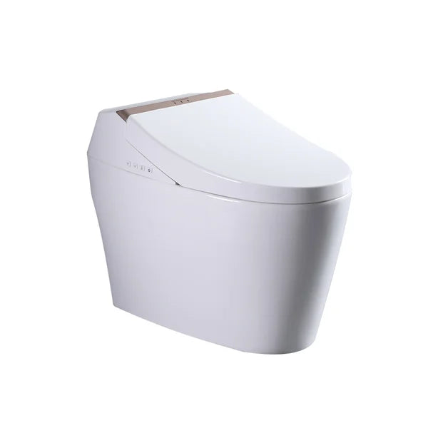 One-Piece Elongated Smart Toilet Floor Mounted Automatic Toilet Self-Clean Rose