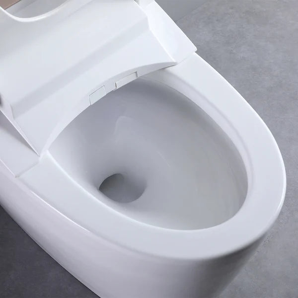 One-Piece Elongated Smart Toilet Floor Mounted Automatic Toilet Self-Clean Rose