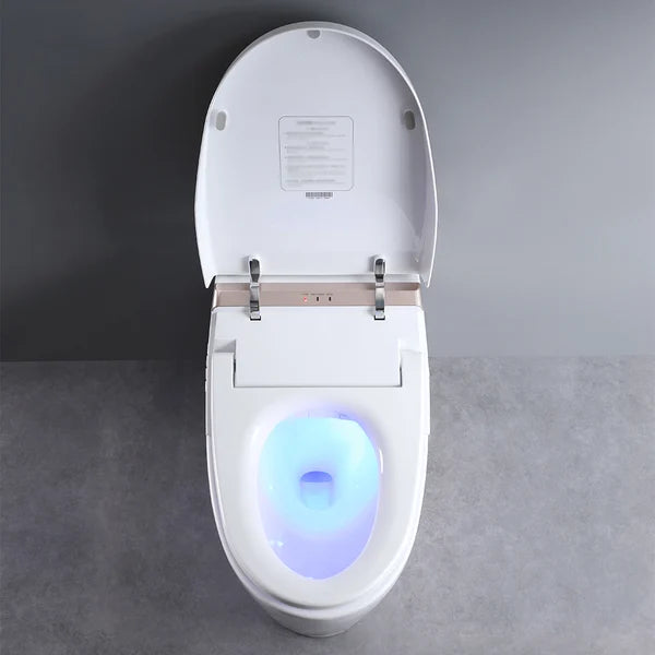 One-Piece Elongated Smart Toilet Floor Mounted Automatic Toilet Self-Clean Rose