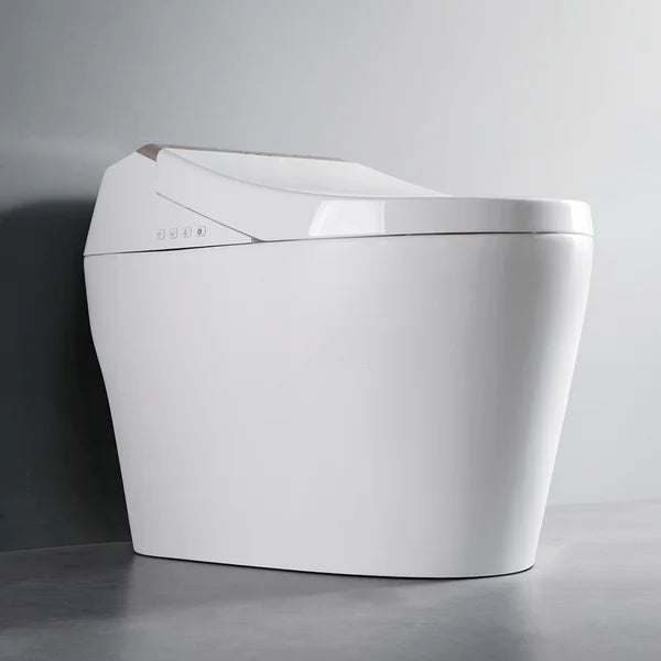 One-Piece Elongated Smart Toilet Floor Mounted Automatic Toilet Self-Clean Rose