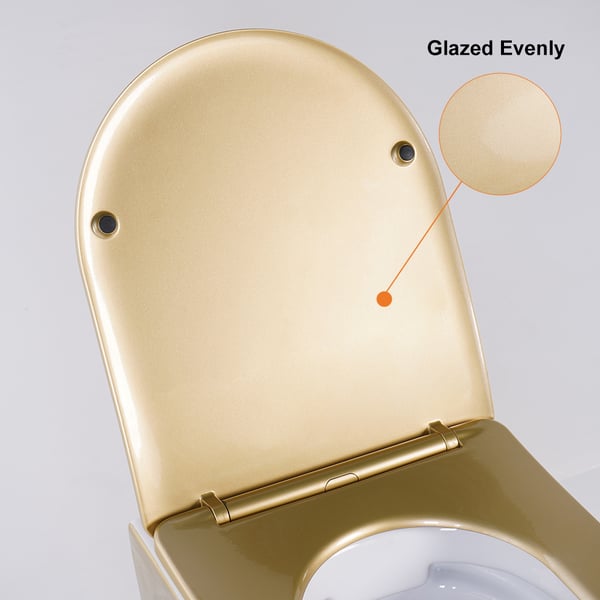 Luxury Round Wall-Mount Toilet Rimless Flushing Ceramic