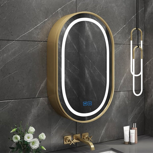 Oval LED Lighted Medicine Cabinet Wall-Mounted Bathroom Vanity Mirror Defog with Storage