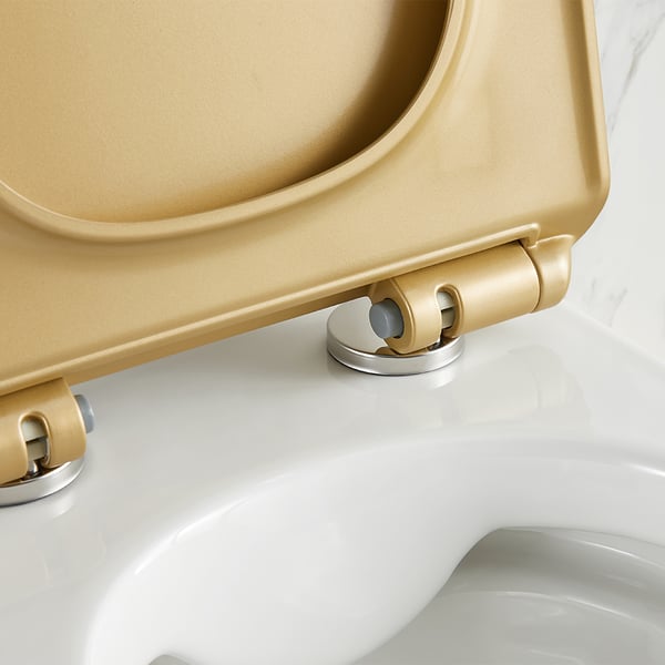 Luxury Round Wall-Mount Toilet Rimless Flushing Ceramic