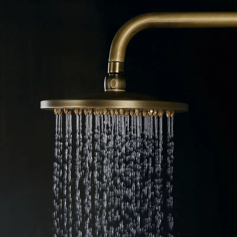 Luminaire de douche à effet de pluie rond à deux poignées en laiton antique exposé classique en laiton massif