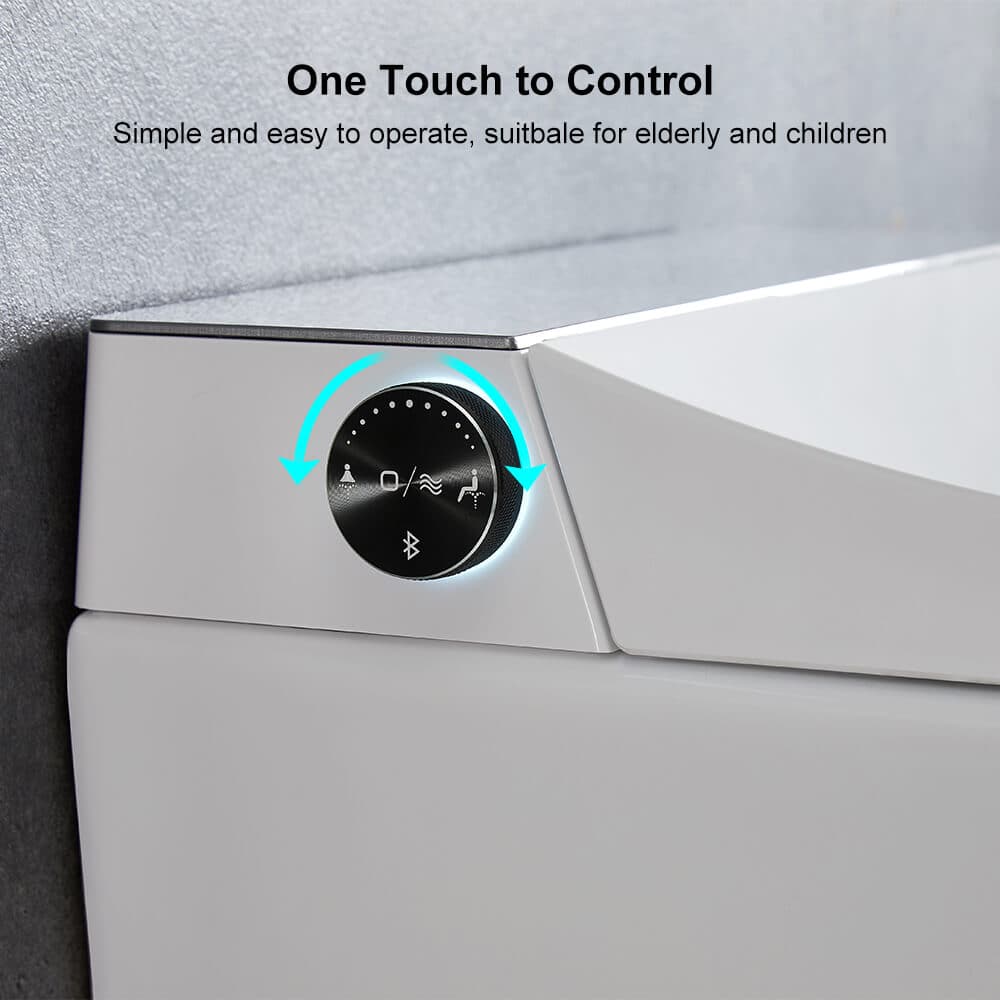 Elongated One-Piece Wall Mounted Smart Toilet with In-Wall Tank & Carrier System