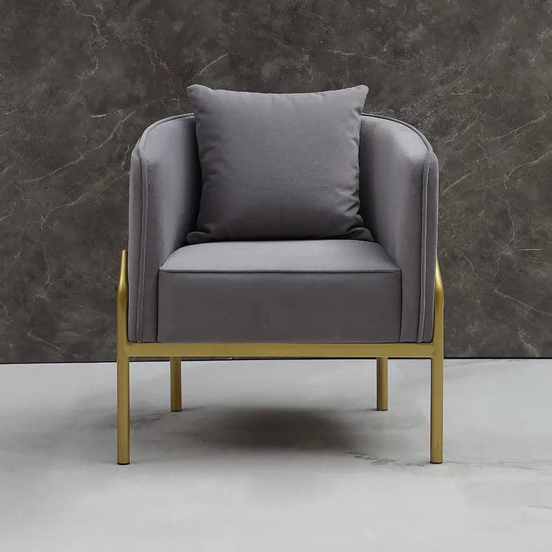 Gray Velvet Accent Chair Modern Upholstered Arm Chair with Gold Legs Pillow Included