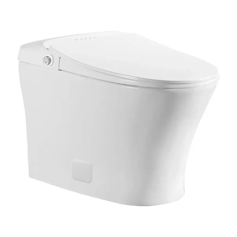 Smart One-Piece Floor Mounted Automatic Toilet Self Clean Smart Toilet